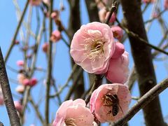 -洋湖国家湿地公园