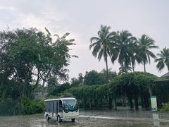 -中国科学院西双版纳热带植物园