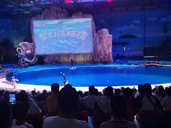 -华夏文旅海洋公园