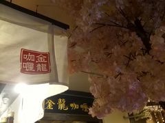 -金龙咖喱