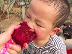 -米果果小镇