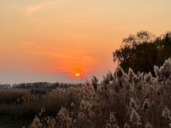 -野鸭湖国家湿地公园