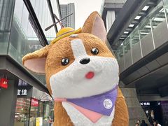 -新光里