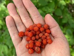 -天怡·鱼工厂(梅溪湖店)