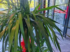 -山城酒家(燕山路店)