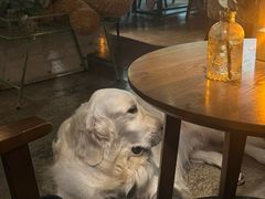 -咖法森林·咖啡  酒吧(天河店)