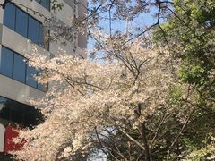 景观位-玛格萝妮比萨屋(四平店)