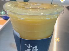 小马很芒-春丽小马(济南恒隆广场店)