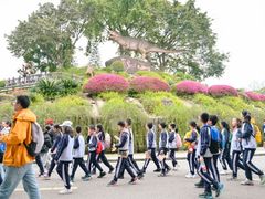 -自贡恐龙博物馆