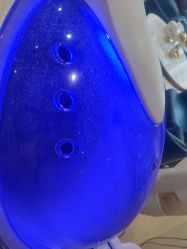 -碧莲盛·不剃发植发