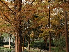 -苏州河梦清园环保主题公园