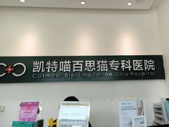 -凯特喵百思猫专科医院