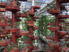 -营地公园·团建拓展·亲子户外(奉贤店)