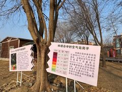 -林栖谷森林康养度假区