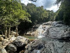 -海南霸王岭国家森林公园