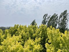 -东郊湿地公园