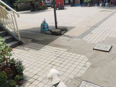 -爱侣宠医·鹦鹉专科·小型哺乳类·异宠专科(灵石路店)