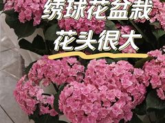 -盒马鲜生(189购物中心店)