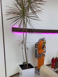 -In Style Hair Salon
