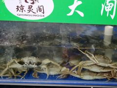 -阳澄湖大闸蟹·琼灵阁牌品牌连锁(吴中总店)