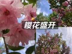 -长白岛森林公园
