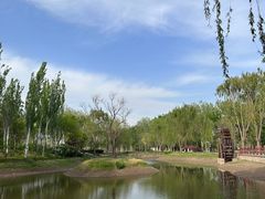 -北坞公园