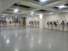 -西安小天鹅艺术团(金花路校区)