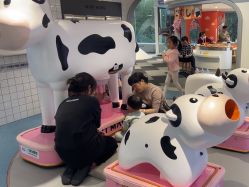 -MINI MARS KIDS CLUB亲子家庭中心(杨浦黄兴店)