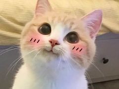 -MOKKA莫卡咖啡(大名路店)