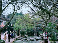 -黄龙溪古镇