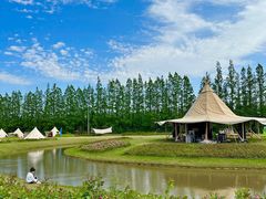 -上海长兴岛郊野公园