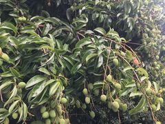 -顺风山庄(水濂山店)