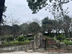 -南山植物园