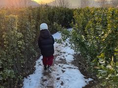 -西部长青自然儿童乐园