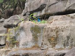 -老淳安—伴山伴湖(千岛湖开元度假村店)