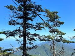 -瓦屋山景区