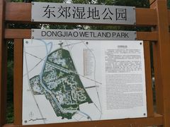 -东郊湿地公园