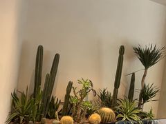 -J Create城市露营咖啡·简餐·宠物(上海动物园店)