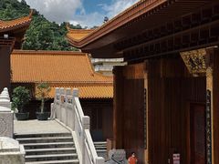 -深圳仙湖植物园