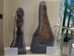 -延庆地质公园博物馆