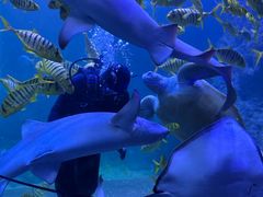 -左海海底世界