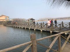 -溱湖国家湿地公园