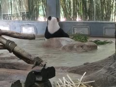 -海南热带野生动植物园