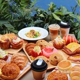 今日宜面包•面包脑袋的日常🍞