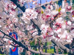 -山西医科大学(迎泽校区)