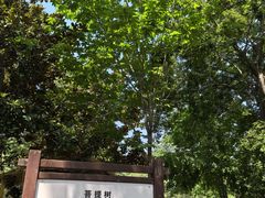 -许慎文化园