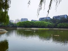 -中国农业博物馆