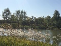 -东郊湿地公园
