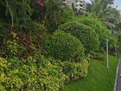 -碧桂园十里银滩