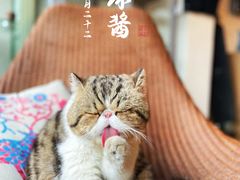 -参差咖啡(水果湖公园店)